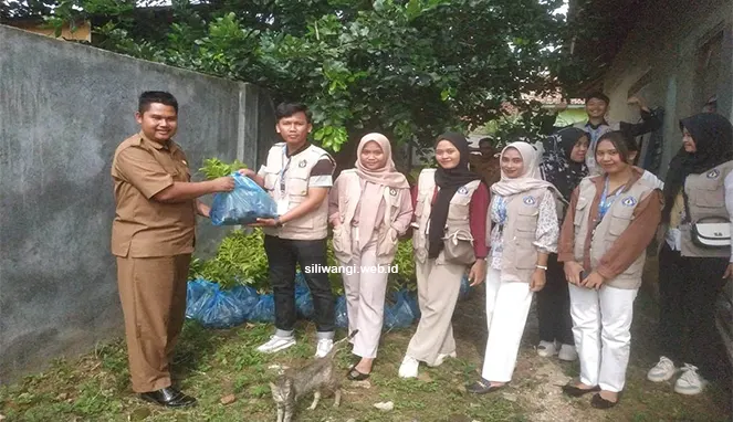 Mahasiswa Polinela Serahkan 2500 Bibit ke Masyarakat Pekon Siliwangi